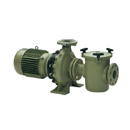 Astral Aral C-1500 Pump 25 HP 690V