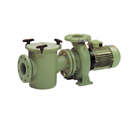 Astral Aral C-3000 Pump 12.5 HP 3 Phase