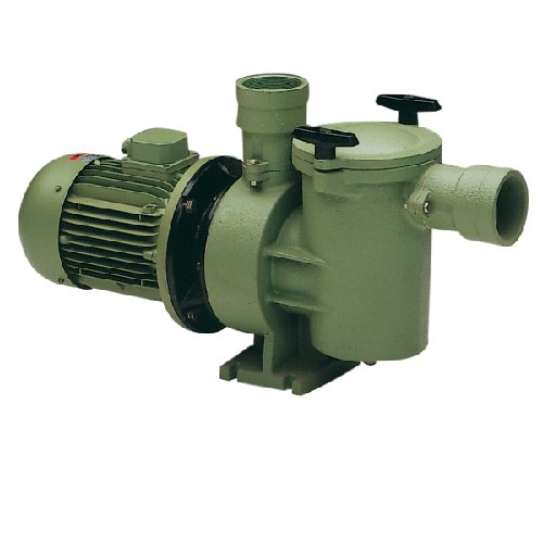 Astral Aral SP-3000 Cast Iron Pump 2HP