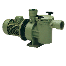Astral Aral SP-3000 Cast Iron Pump 3HP