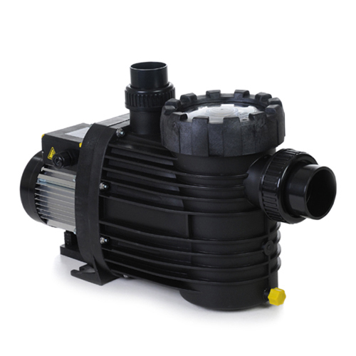 Speck Badu Top S12 0.61 hp 1 Phase Pump